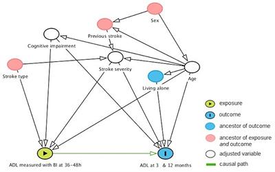 Dependency in Activities of Daily Living During the First Year After Stroke